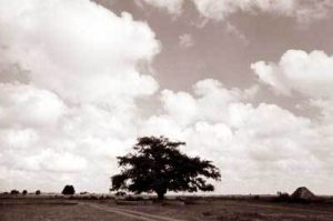 new-pg-51.jpg-small